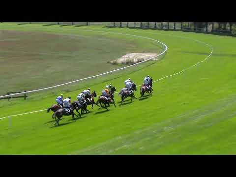 Avenches/10.08.2022/Prix de York