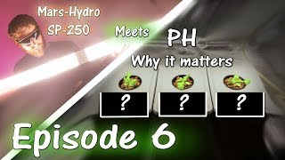 Growing Peppers at Different PH Levels | Mars Hydro SP 250 | Ep. 6