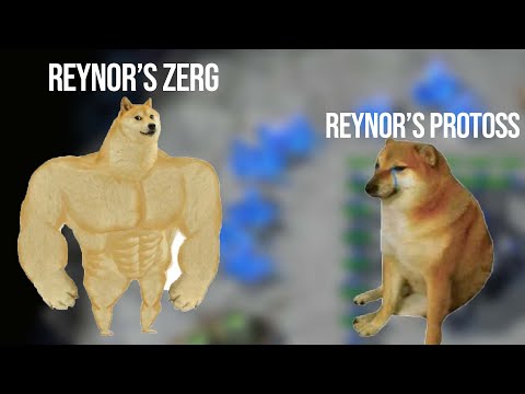 RACE Switching Reynor Gets TERRANED by Spirit | Reynor (Z/P) vs Spirit (T)