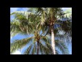 Peaceful Hawaiian Music, Relaxation, Meditation ...