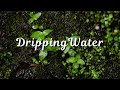 Drip Drip Drip 10 Hours Of Relaxing Water Sounds