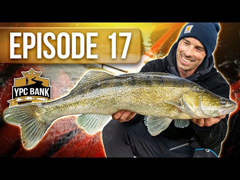 FINALLY – the fish are biting again! | YPC Bank 2025 Episode 17