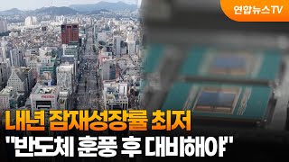 OECD 내년 잠재성장률 1.5%대 전망…반도체 훈풍 후 대비해야 / 연합뉴스TV (YonhapnewsTV)