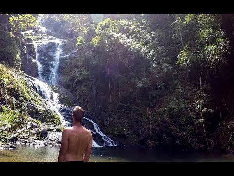 Jungle Trekking in Khao Sok National Park (Thailand)