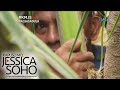 Kapuso Mo Jessica Soho Lalaking Tatlong Taong Namalagi Sa Puno Ng Niyog Sinagip