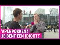 Apenpokken in Nederland: ‘Geloof het niet!’