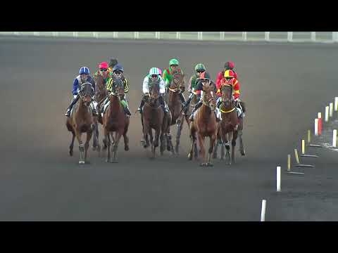 PRIX DU CALVADOS - CORNULIER RACES Q3 2026