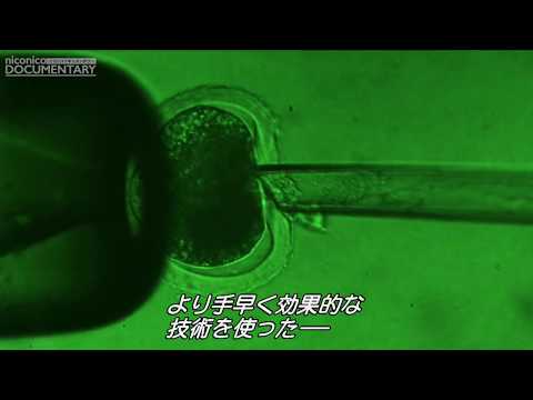遺伝子による赤ちゃんの後:中国はバイオテクノロジー規制を作成中