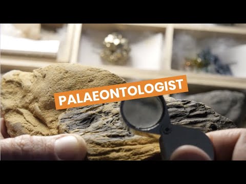 Palaeontologist video 3