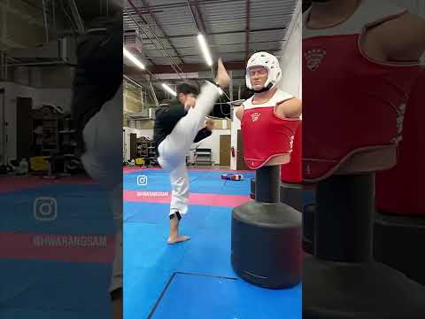 Taekwondo Kicks - Basic, Advanced, Challenge Combinations 