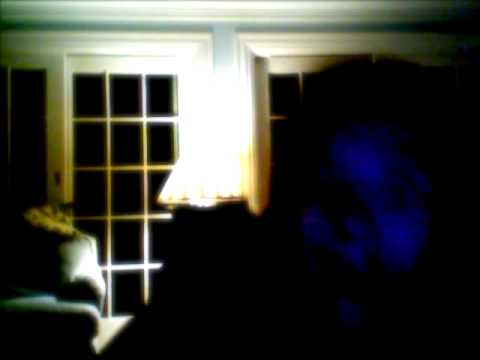 evacuate the dance floor mayhem