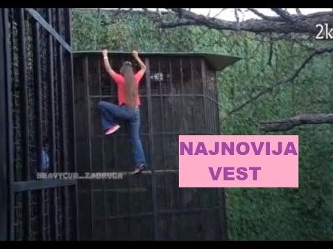 Dalila PALA sa VISINE dok je BEŽALA iz Zadruge - POVREDILA SE? Obezbeđenje HITNO #zadruga #zadruga5