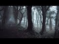 Where Did The Party Go Fall Out Boy Slowed Down Reverbd
