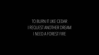 James Blake - I Need A Forest Fire Feat. Bon Iver (Lyrics)