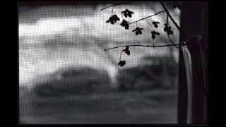 Mark Lanegan Band  ~  Gray Goes Black