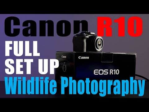 Canon R10 - Autofocus Setup and Button Layout for Wildlife Photography