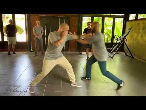 Fist Under Elbow 2  -  Teaching Moments with Sifu Adam Mizner