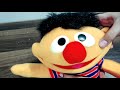Sesame Street Ernie Plush Talking Laughing Figure Sesamestreet Street Laugh Talk Yt Shorts