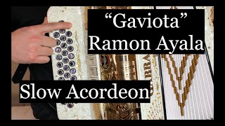 &quot;Gaviota&quot; - Ramón Ayala (Slow Acordeon) #Botones #Acordeon