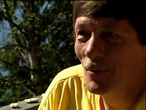 20 year Anniversary Story - KaBeeLo Guest