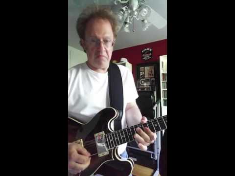 Fun Fun Fun Guitar Intro Lesson