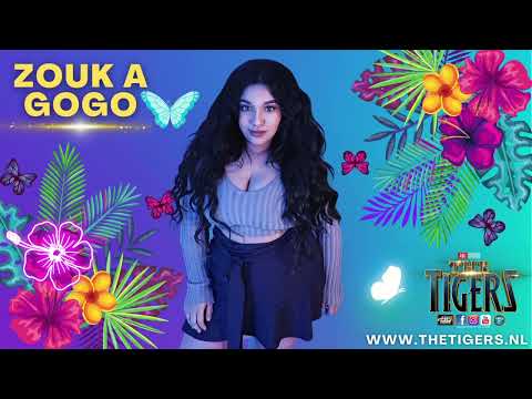 THE TIGERS X TISH - ZOUK A GOGO