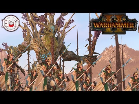 Epic Dawi vs Wood Elves Grudge Match - Total War Warhammer 2 - Online Battle 88