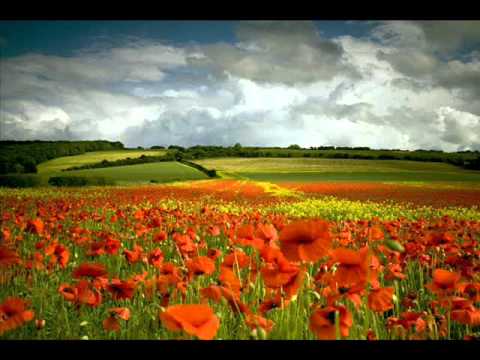 New York Voices - Silence of time