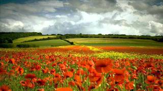 New York Voices - Silence of time