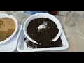 Soil Erosion Experiment For Kids