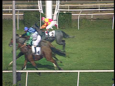 Galoppo 19/07/2017 - 7ª corsa