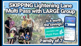 NO LIGHTNING LANE WITH A LARGE GROUP AT ANIMAL KINGDOM - Was it worth the savings?