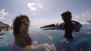 Live Aqua Infinity Pool View
