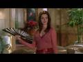 The Princess Diaries 2 Mia S Art Of The Fan Lesson