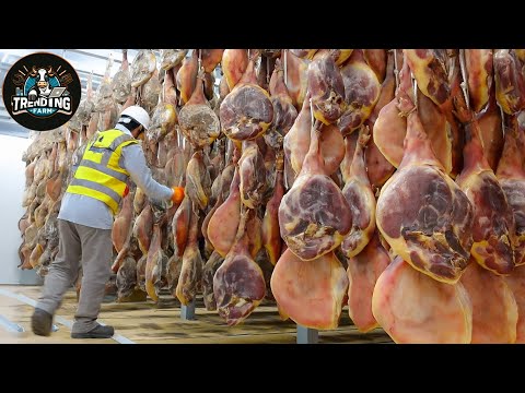 The World's Most Expensive Pigs Are Raised This Way -  So Expensive