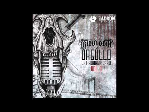 14  Escandalo (Negro Escandaloso)