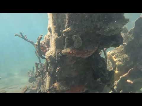 The Roly Poly WWII shipwreck snorkel at El Palacio Rosa
