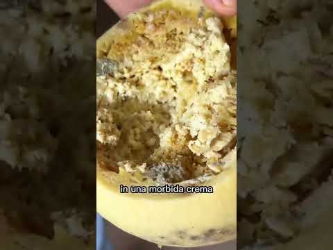 FORMAGGIO CON I VERMI 🧀🐛