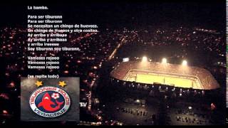 Para ser tiburon!! La bamba