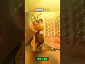 Bee Build A Hive