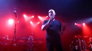 SAGA - You&#39;re not Alone (Köln 27.08.2019)