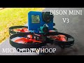 DISON MINI V3 MICRO CINEWHOOP NAKED GO PRO