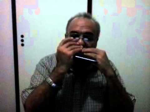 Instrumental Gaita - Carlos - O que me importa.