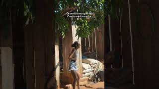 Quando a galinha bota ovo #dianaroça #vidanaroça