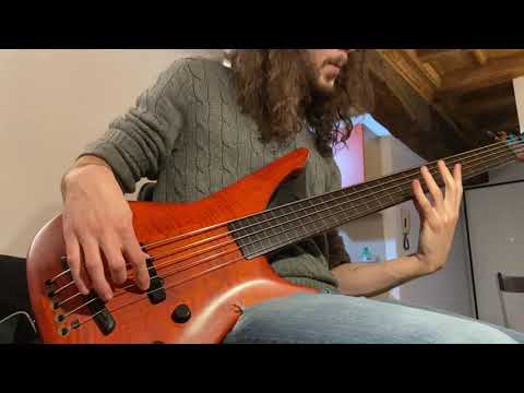 Immagine Manne Acoustibass 5 1994 - Transparent Orange - 19