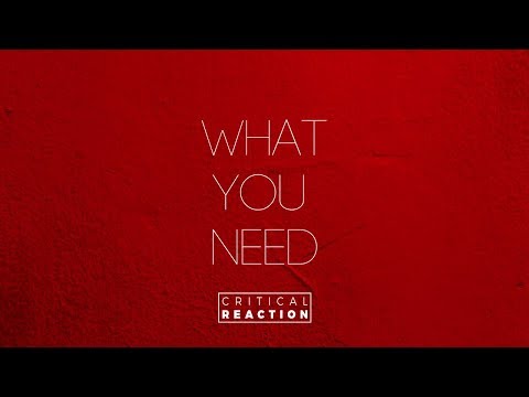 Critical Reaction - What You Need [Official Video]