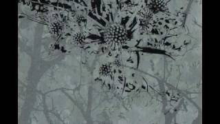 Empusae - Seygot