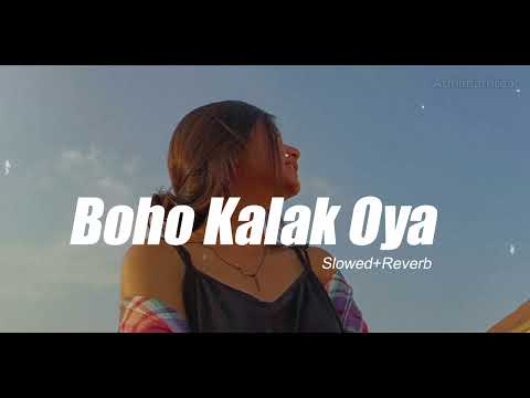 Boho Kalak Oya Female version Slowed Reverb