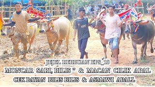 Download lagu MONCAR SARI & MACAN CILIK || FULL 4 ABERAN EPS_10 JEJEL REBBUAN #shortvideo #culture #viral #fyp mp3 Download lagu MONCAR SARI & MACAN CILIK || FULL 4 ABERAN EPS_10 JEJEL REBBUAN #shortvideo #culture #viral #fyp mp3
