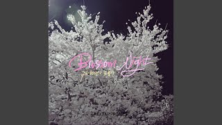 Blossom, Night (벚꽃, 밤)